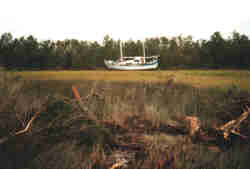 Knockdown.jpg - 4012 Bytes